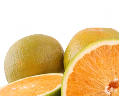 Laranjas